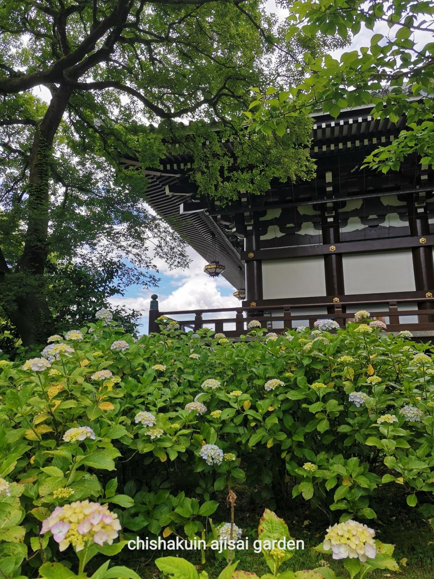 Walker House Kyoto 65 Square Meters Whole Villa Rent Zewnętrze zdjęcie