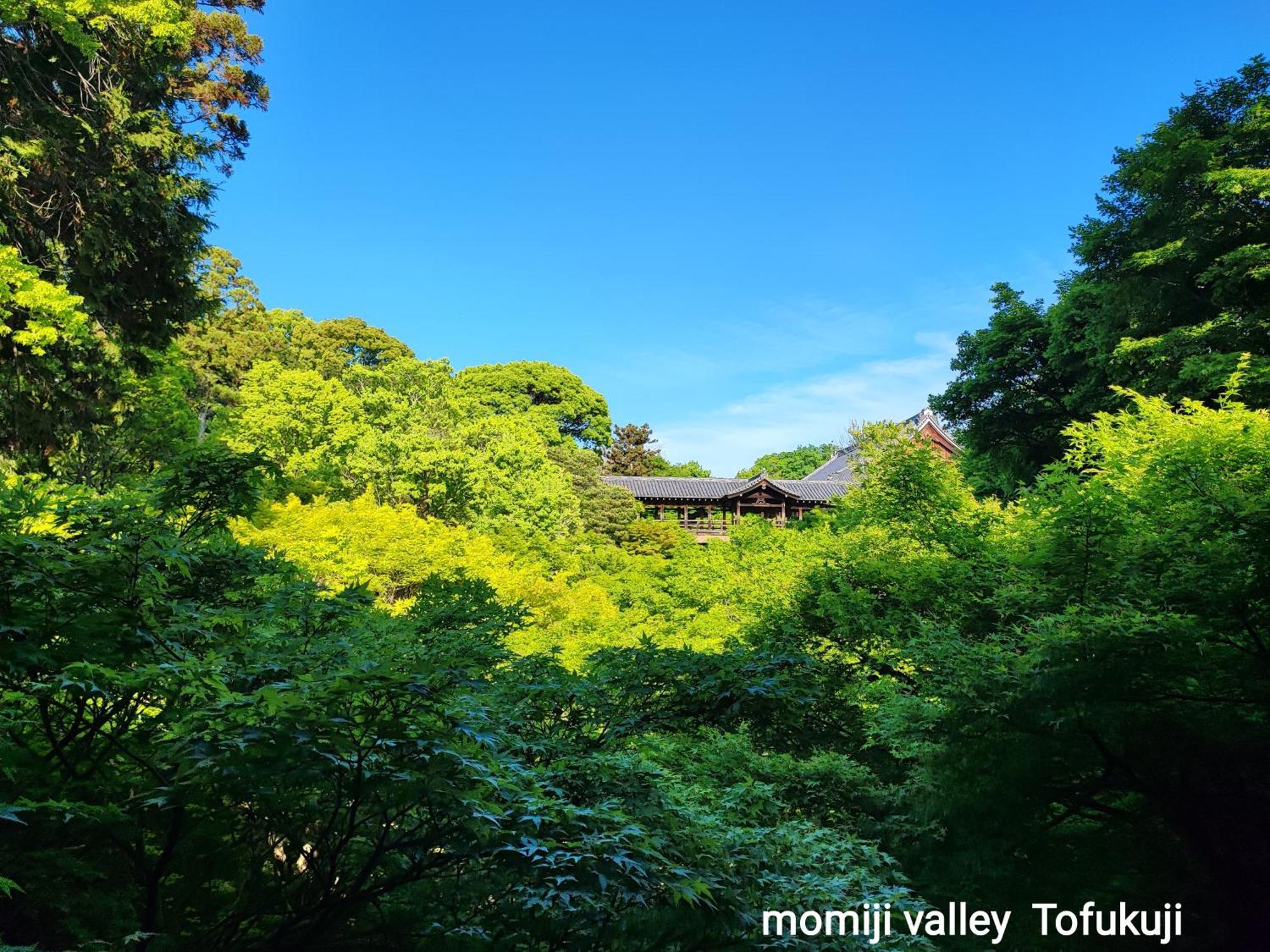 Walker House Kyoto 65 Square Meters Whole Villa Rent Zewnętrze zdjęcie